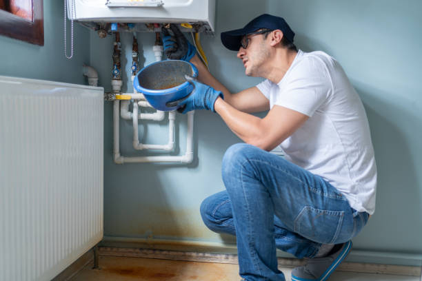 Best Local Plumber Services  in Rochelle, IL